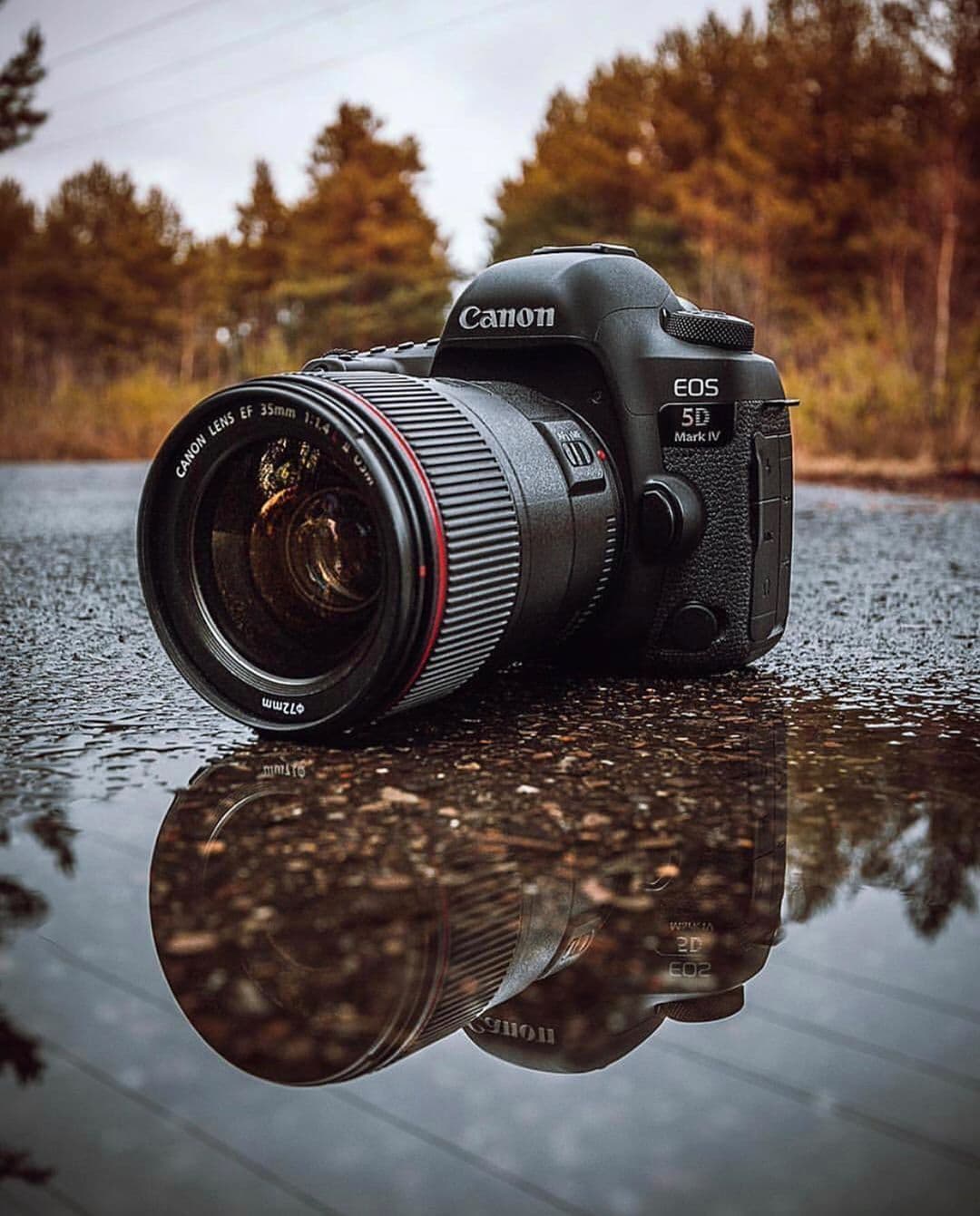 Photography service